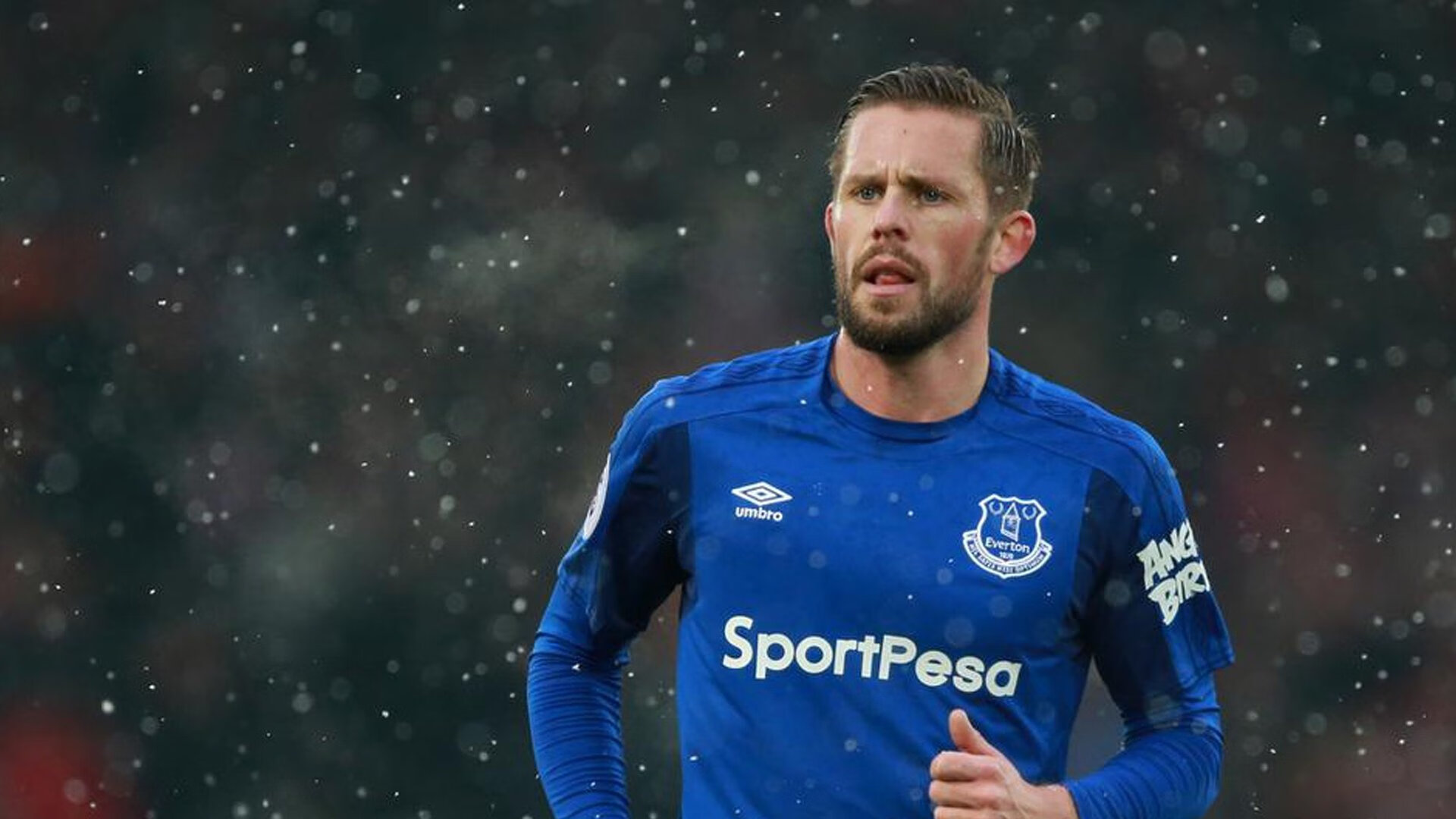 kaiyun网站-布莱顿主场迎战谢菲联，球迷期待悬念揭晓，布莱顿对阵谢菲联